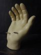 画像6: フランスヴィンテージ　理科の手の解剖模型 (筋肉 骨) (6)