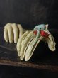 画像2: フランスヴィンテージ　理科の手の解剖模型 (筋肉 骨) (2)
